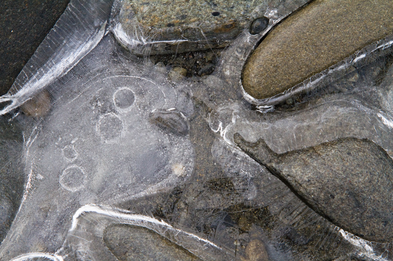 River Rocks Encased In Ice